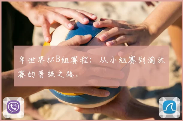 年世界杯B组赛程：从小组赛到淘汰赛的晋级之路。