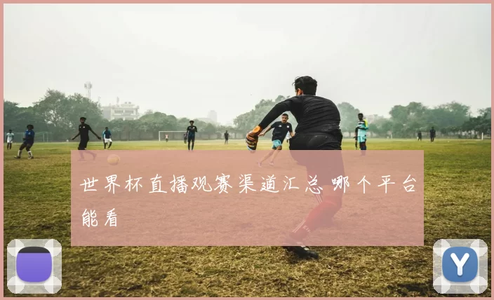 世界杯直播观赛渠道汇总 哪个平台能看