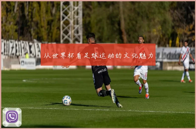 从世界杯看足球运动的文化魅力
