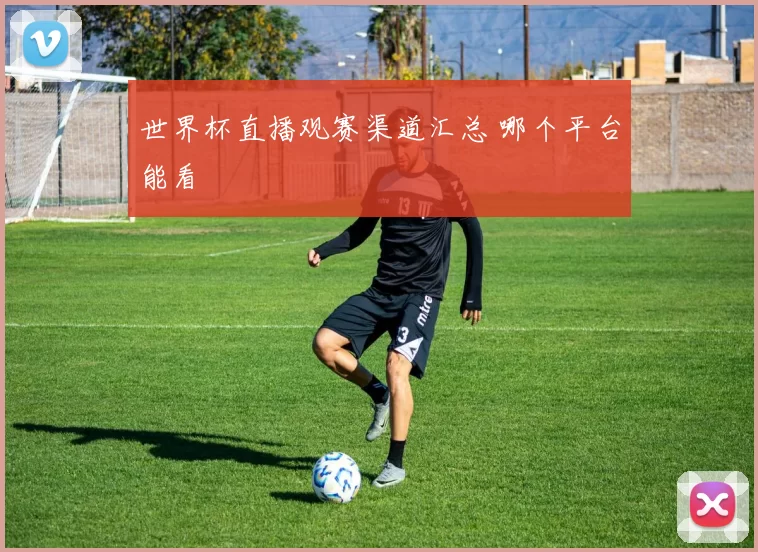 世界杯直播观赛渠道汇总 哪个平台能看