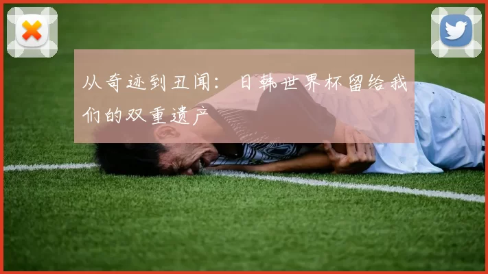 从奇迹到丑闻:日韩世界杯留给我们的双重遗产