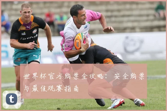 世界杯官方购票全攻略:安全购票与最佳观赛指南