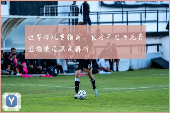 世界杯观赛指南：官方平台与免费直播渠道深度解析