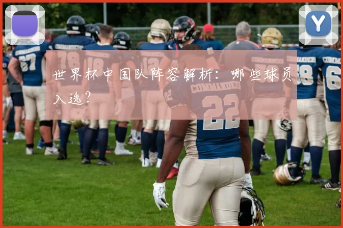 世界杯中国队阵容解析:哪些球员入选?