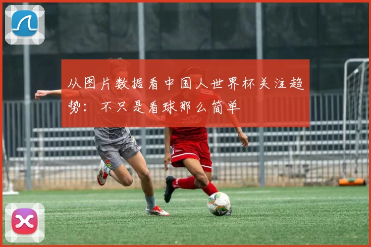 从图片数据看中国人世界杯关注趋势：不只是看球那么简单