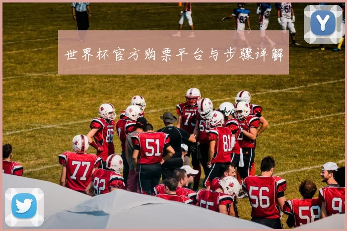 世界杯官方购票平台与步骤详解