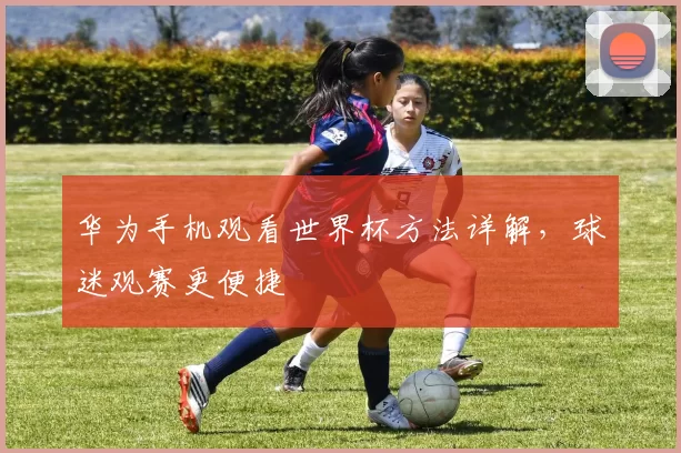 华为手机观看世界杯方法详解，球迷观赛更便捷