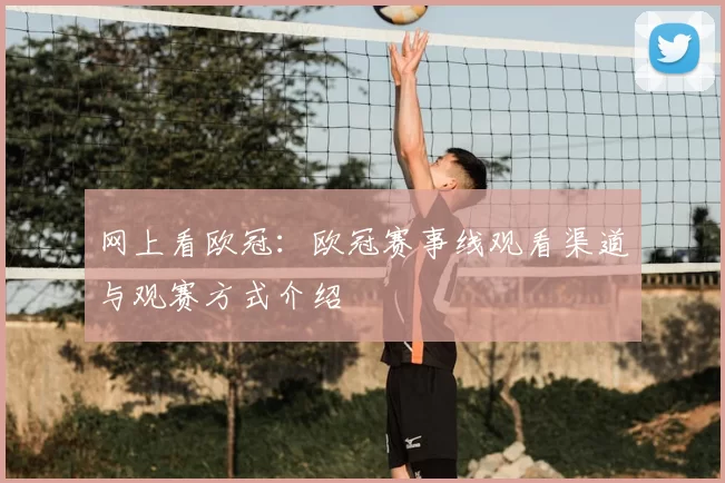 网上看欧冠:欧冠赛事线观看渠道与观赛方式介绍