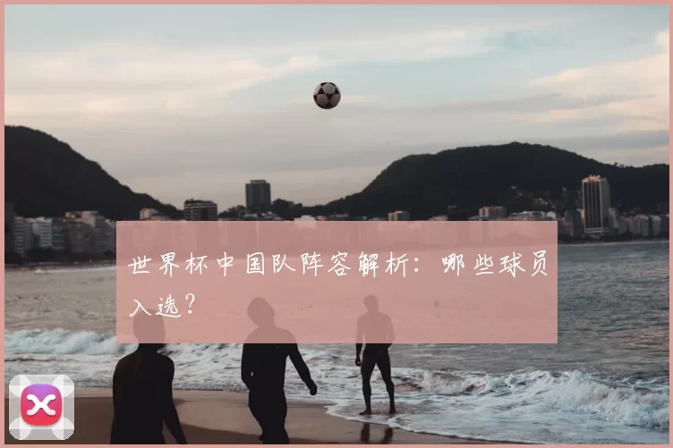 世界杯中国队阵容解析：哪些球员入选？